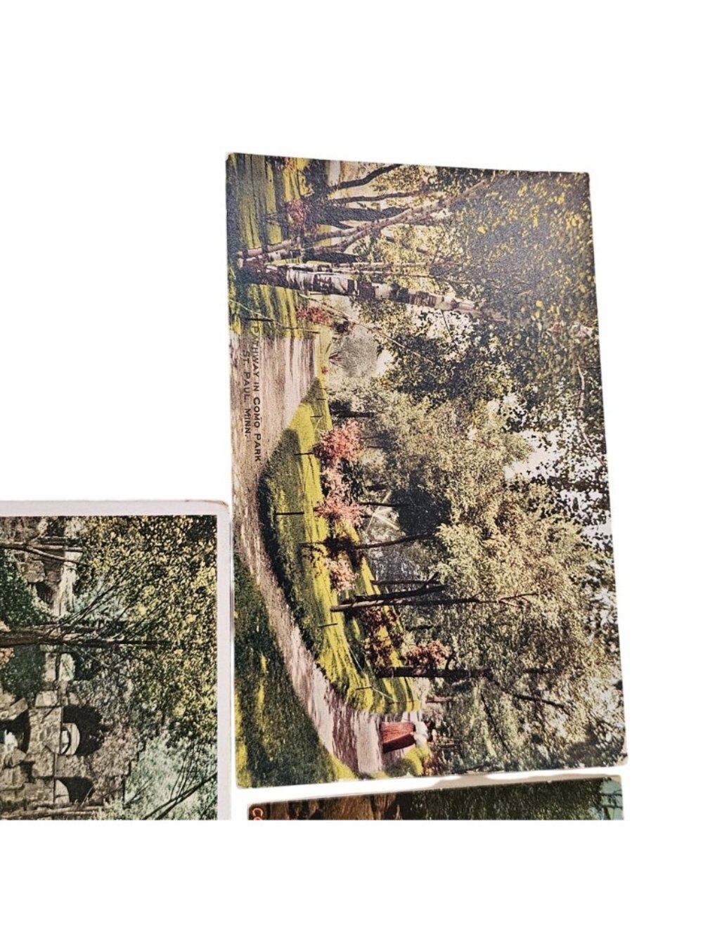 3 Minnesota Parks 1920s Postcards color Lithograph Cascade Como Conodan Park - Picture 4 of 9